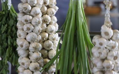 Fleur de sels à Poitiers