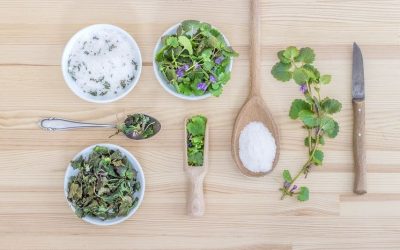 Sel aromatisé à la Truffe noire à Nîmes