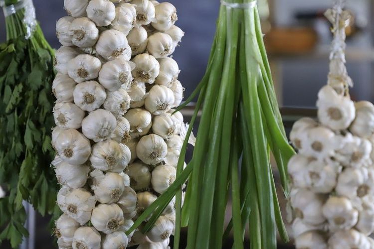 Sels artisanaux à Dunkerque