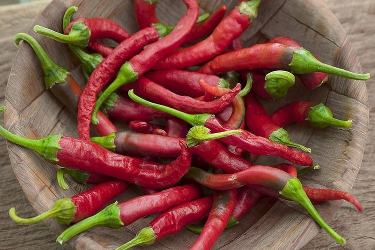 Vinaigre non pasteurisé à Bourges